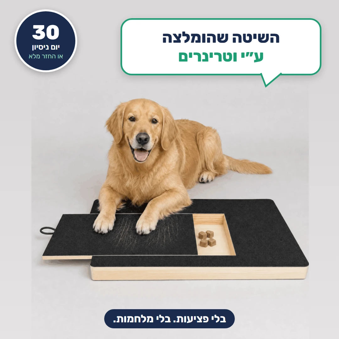 ClawHush™ – השיטה שהומלצה ע״י וטרינרים. בלי פציעות, בלי מלחמות