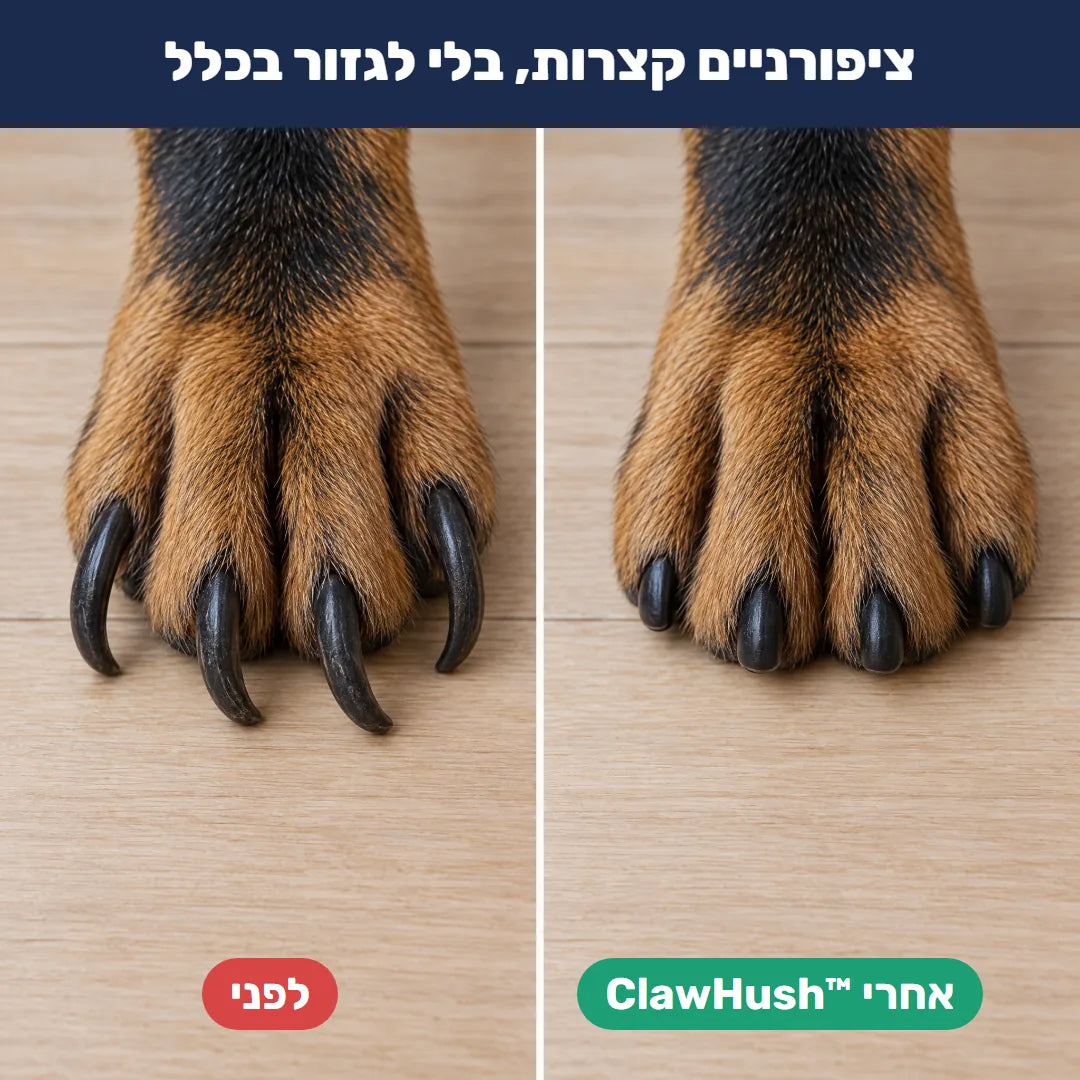 לפני ואחרי – ציפורניים קצרות בלי לגזור