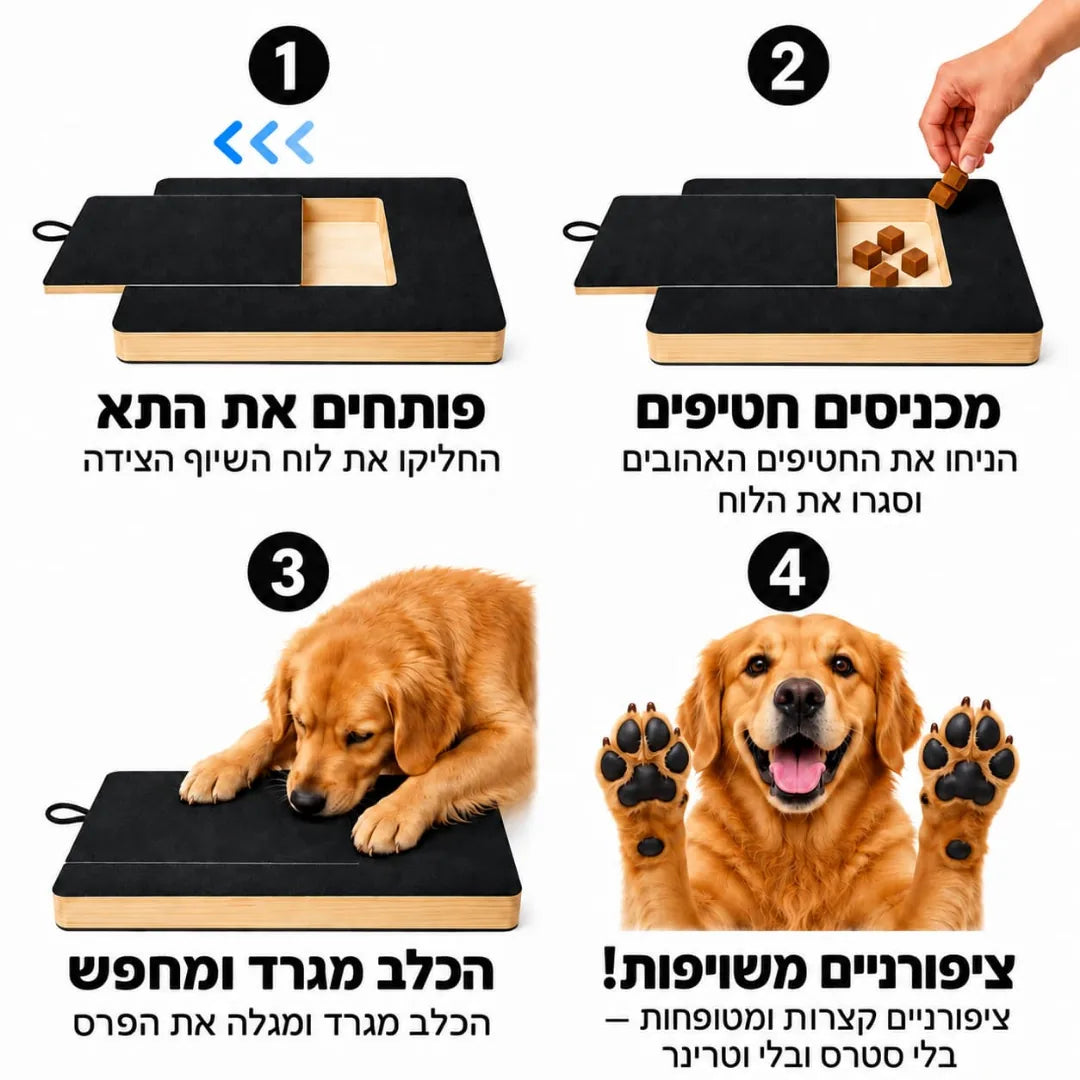 איך זה עובד – 4 שלבים