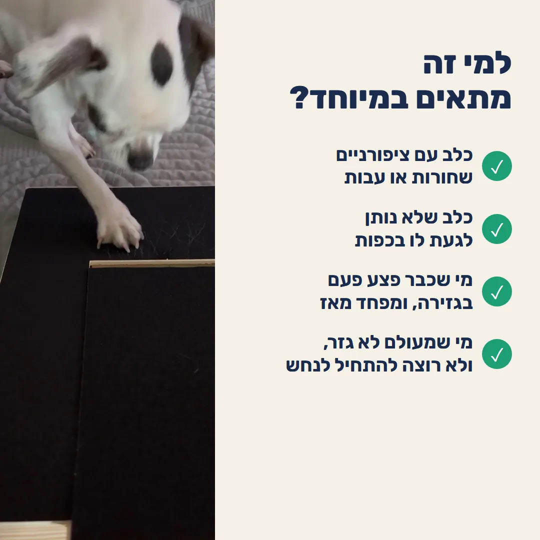 למי זה מתאים במיוחד