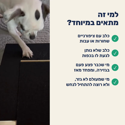 למי זה מתאים במיוחד
