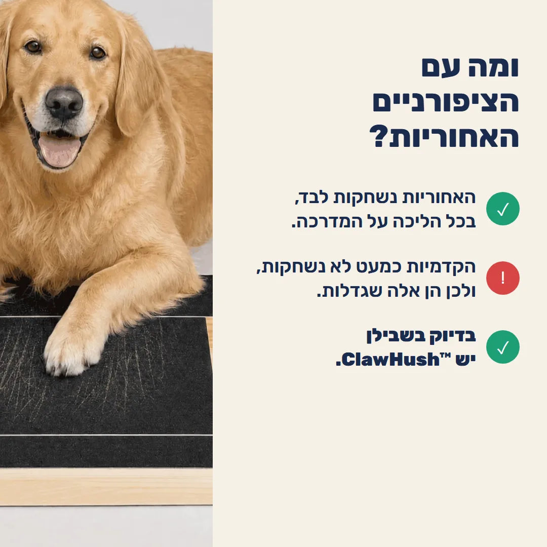 ומה עם הציפורניים האחוריות