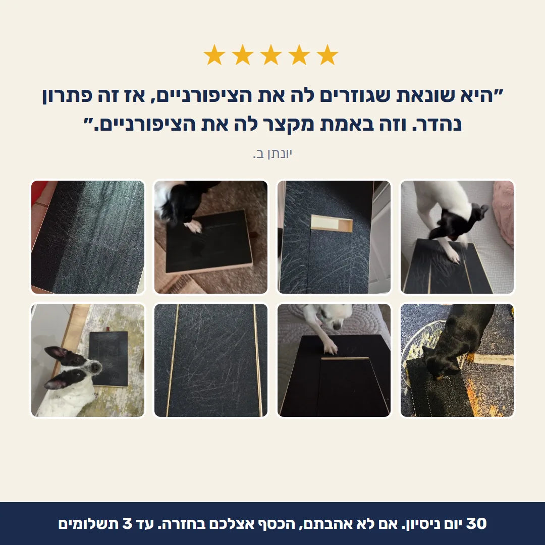 ביקורת לקוחה ותמונות של לקוחות
