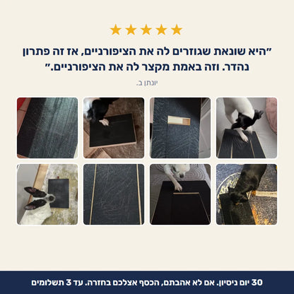 ביקורת לקוחה ותמונות של לקוחות