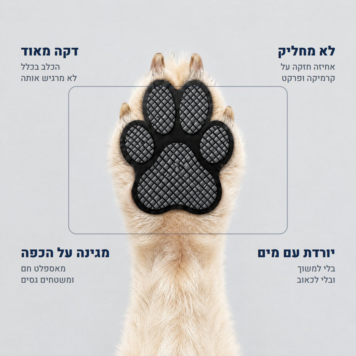 מדבקת אחיזה על כפת כלב: לא מחליק, דקה, יורדת עם מים, מגינה על הכפה